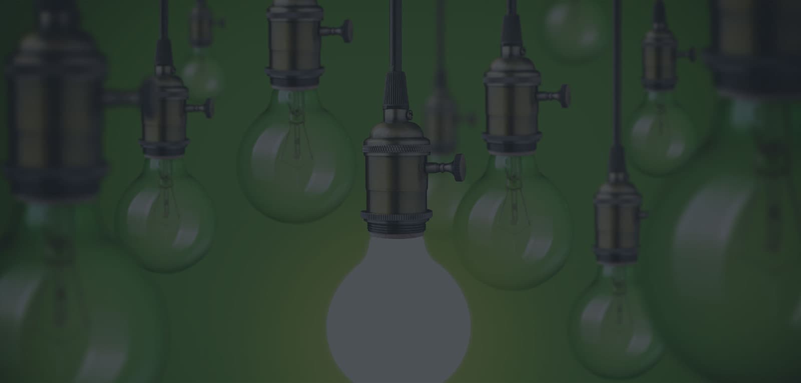 bulb